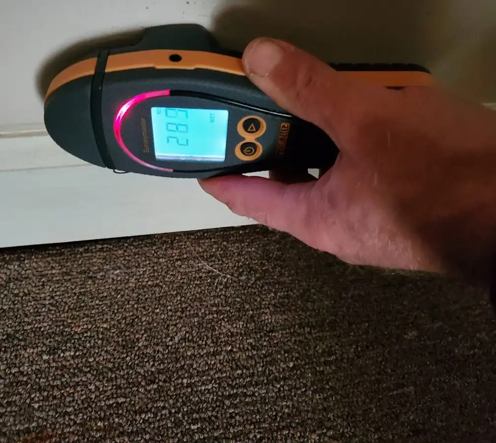 Moisture detection at baseboard during Sewage Cleanup & Sanitation in Warren